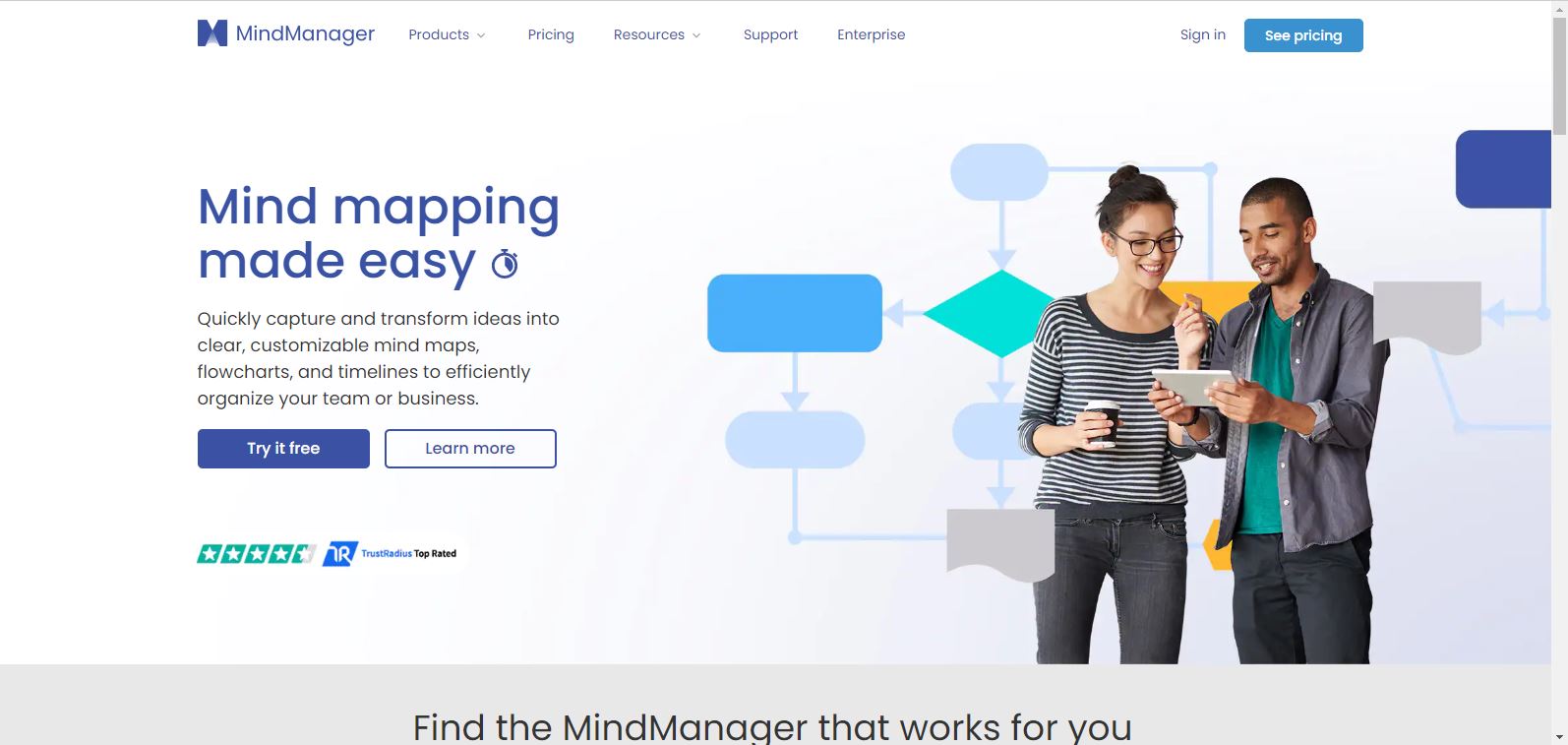   team management with mindmanager