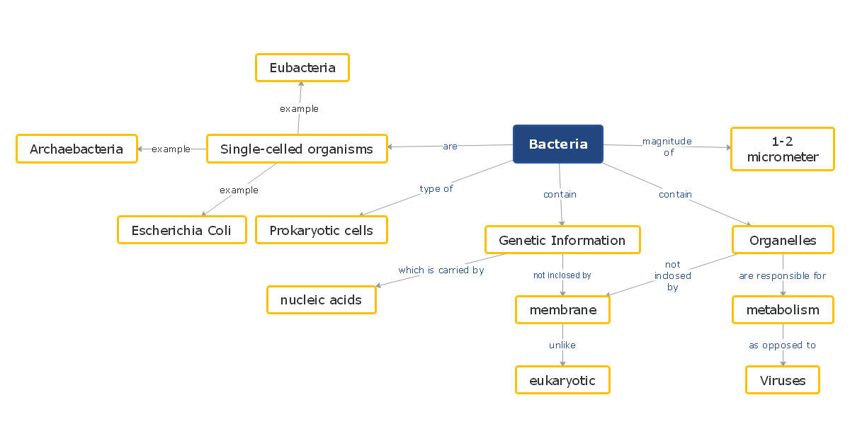Bacteria Concept Map