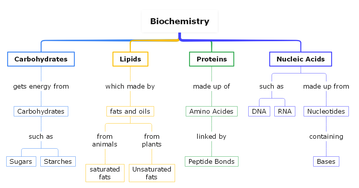 Biochemistry Concept Map