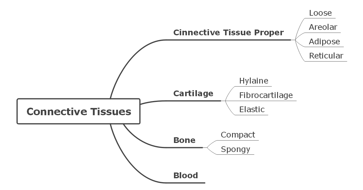 Biology Concept Map Complete Guide With 30 Examples EdrawMind