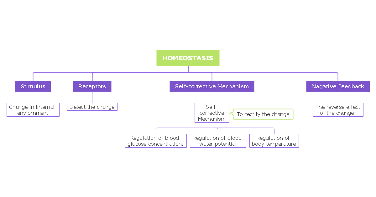 Homeostasis Concept Map
