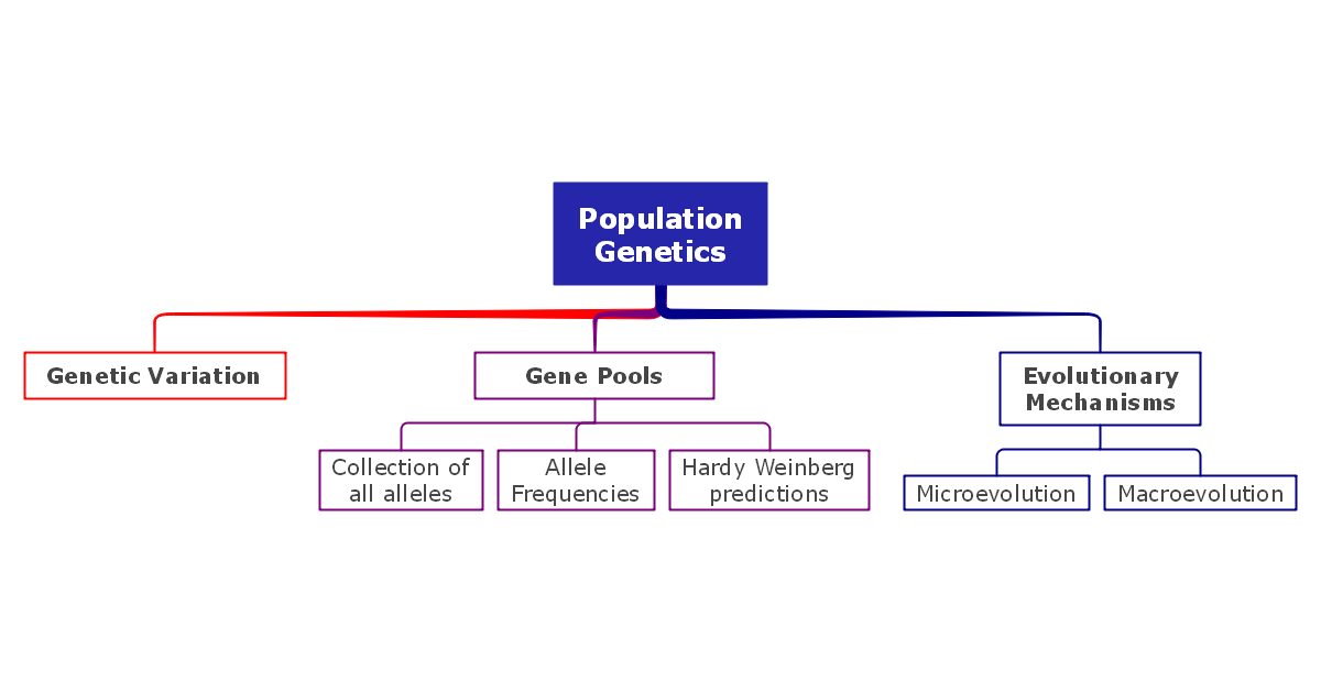 Genetics Concept Map