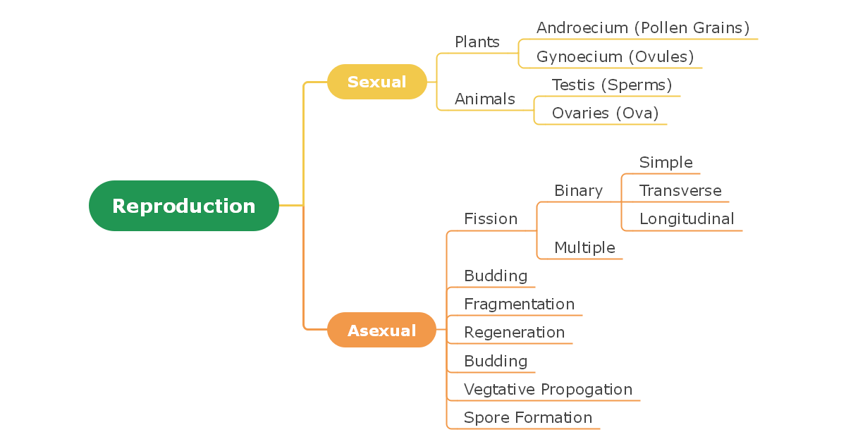 Biology Concept Map Complete Guide with 30+ Examples | EdrawMind