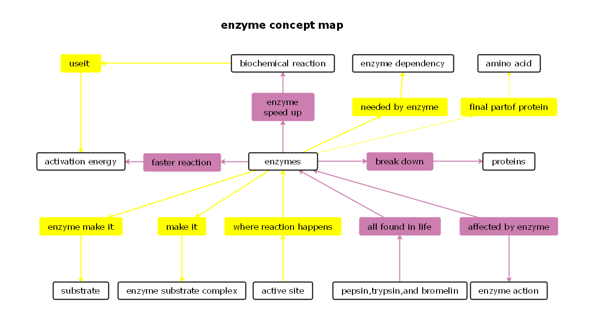 Enzyme Concept Map