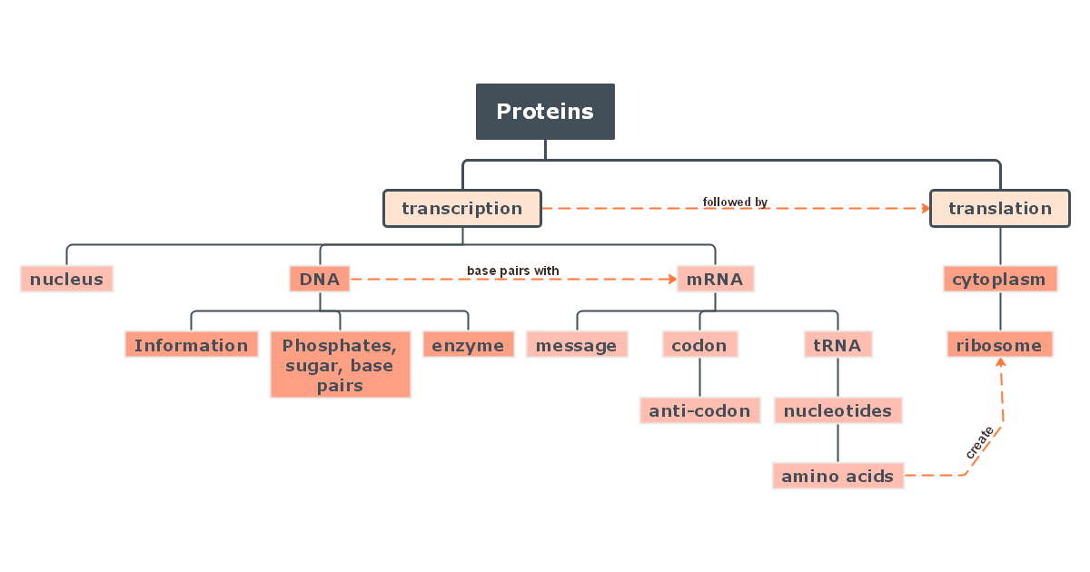Protein Concept Map