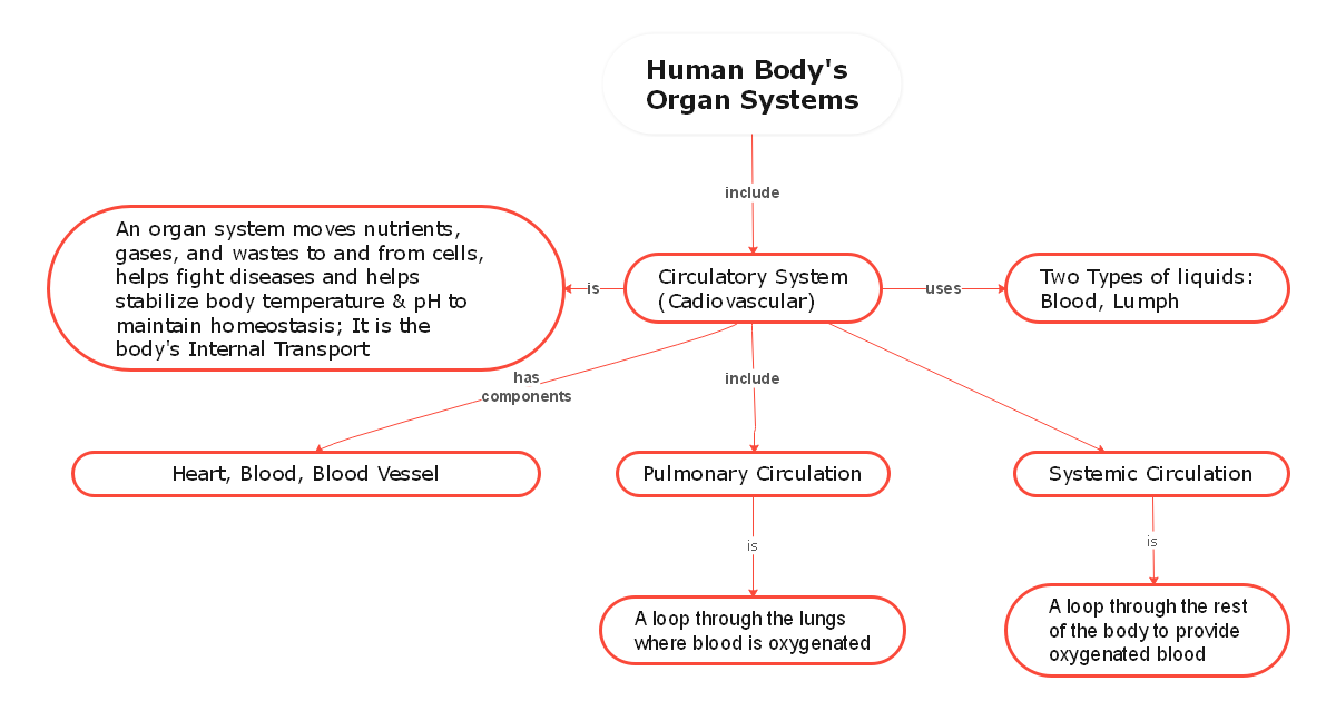 Circulatory System Concept Map