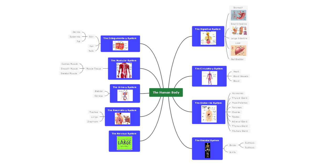 Biology Concept Map Complete Guide With 30 Examples Edrawmind 1855