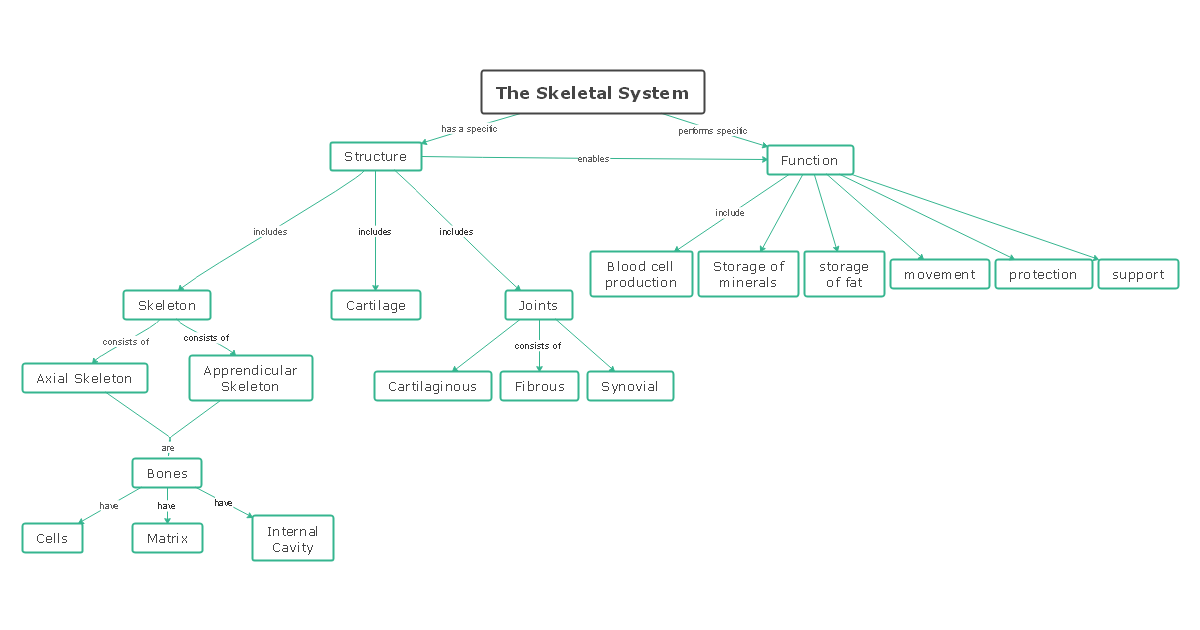 Skeletal System Concept Map