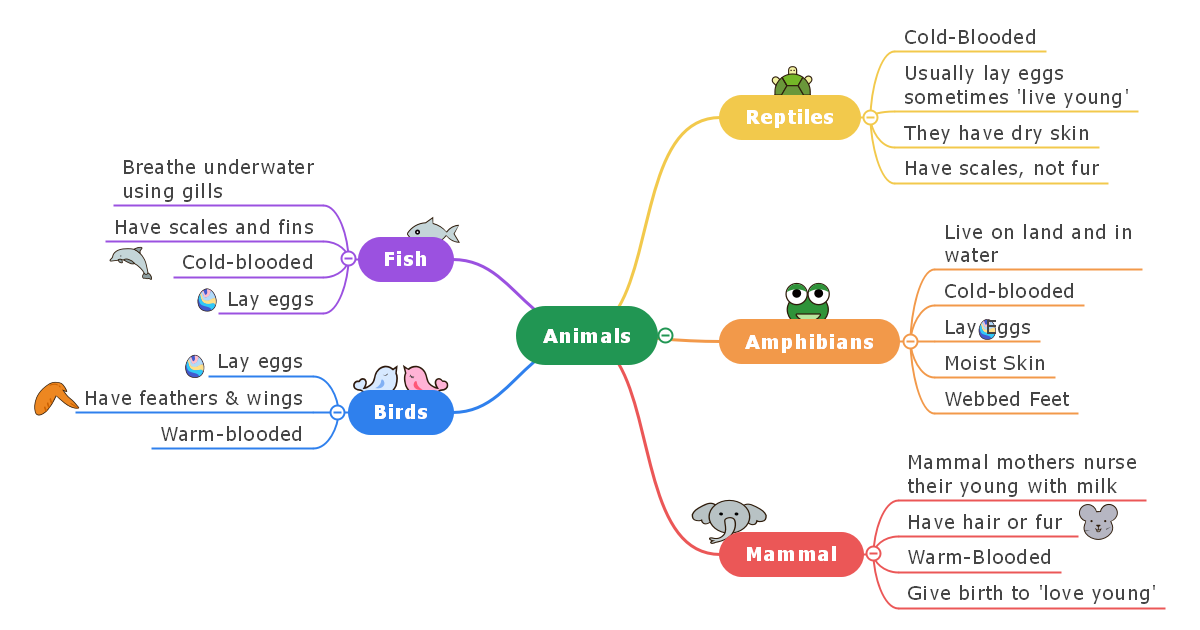 Animals Mind Map 