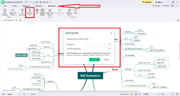 edrawmind encrypt file