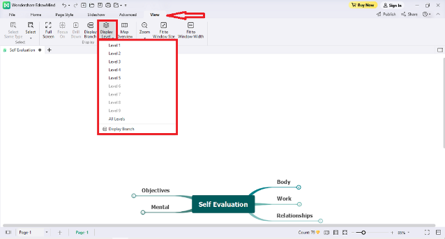 edrawmind display level