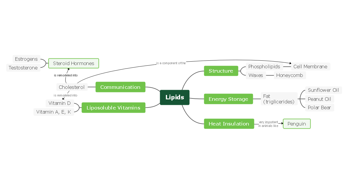 Lipids Concept Map Template