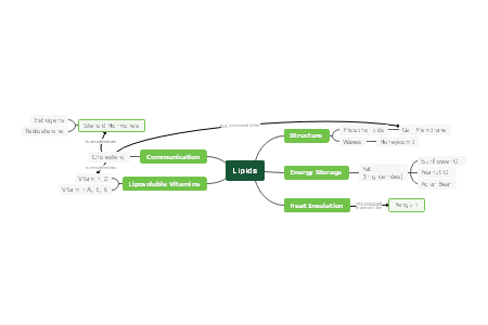 Lipids concept map