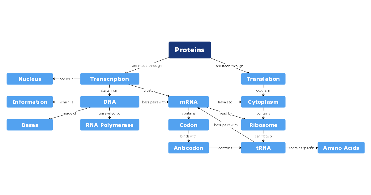 Proteins Concept Map Template