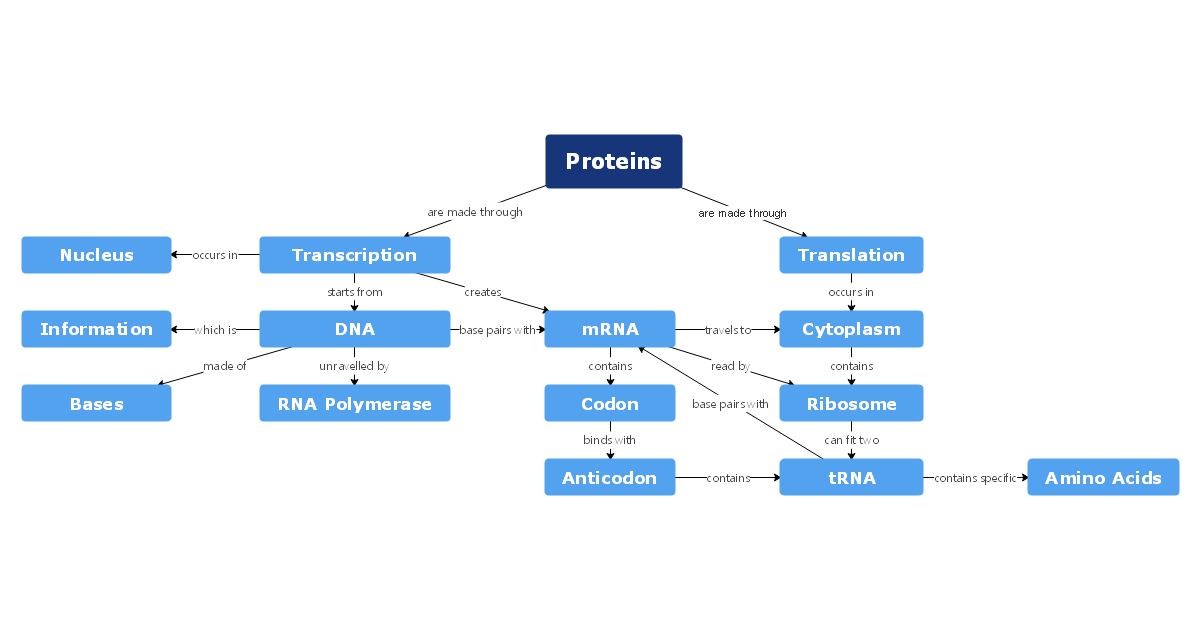 protein concept map