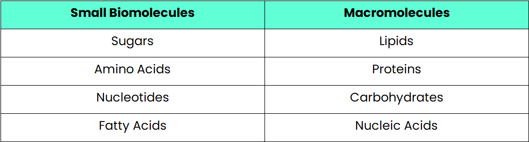 macromolecules examples