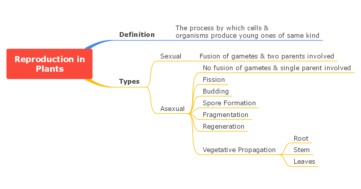 Reproduction in Plants Concept Map Template