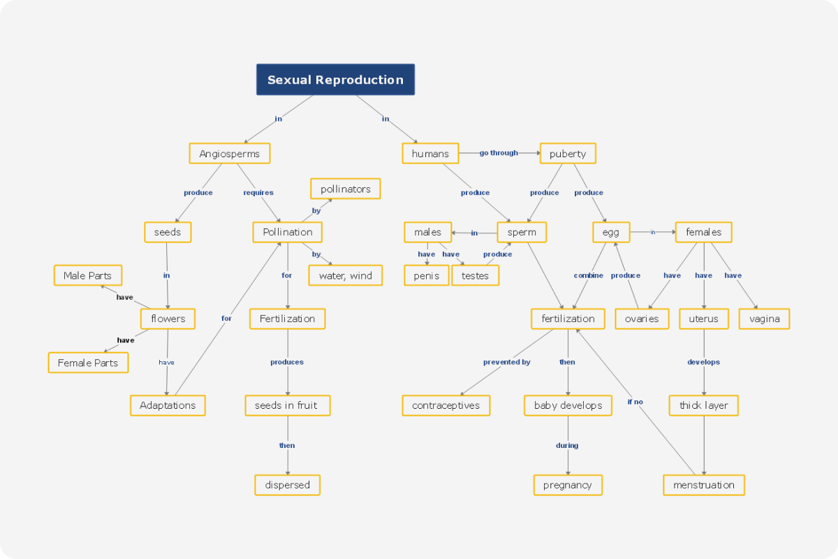 Reproduction Concept Map Template | EdrawMind