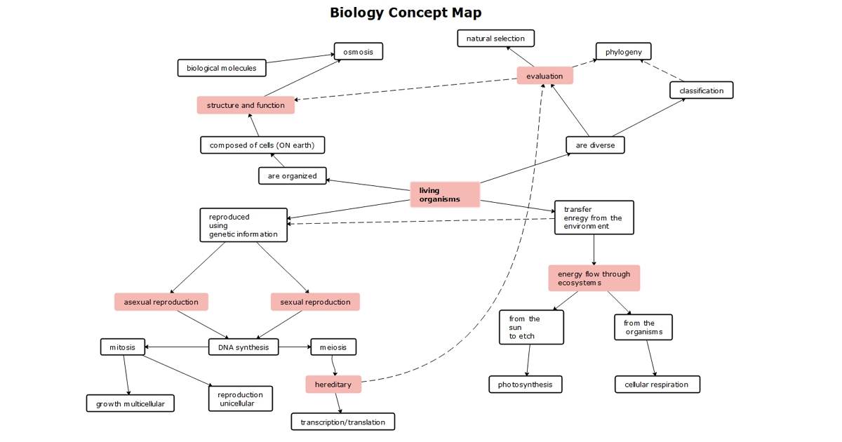 biology concept map example 02