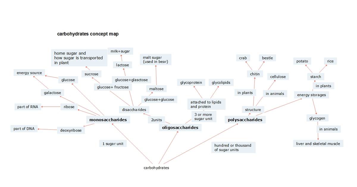 carbohydrate concept map example 01
