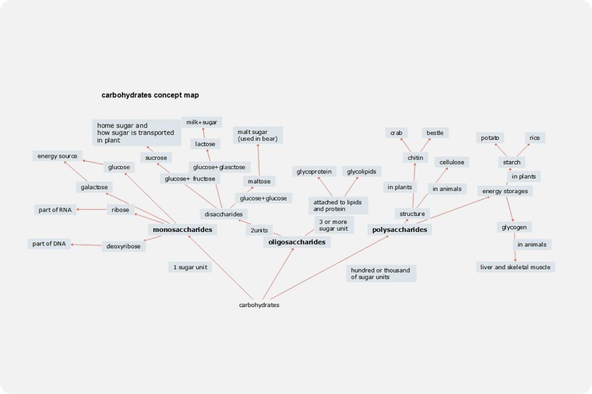 Carbohydrate Concept Map Template
