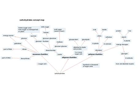 Carbohydrate Concept Map example 1