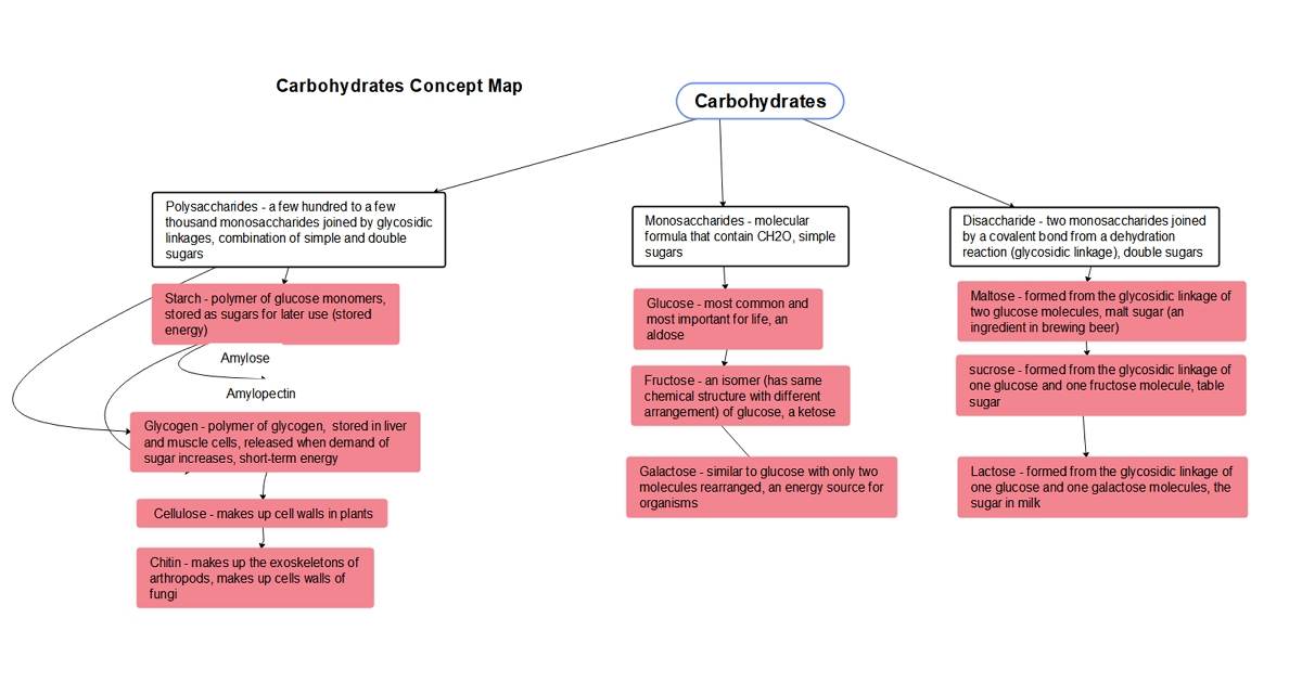 carbohydrate concept map example 02