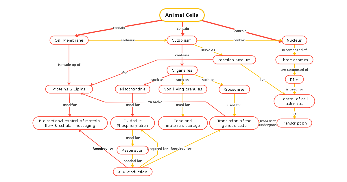 Animal Cells Concept Map Template