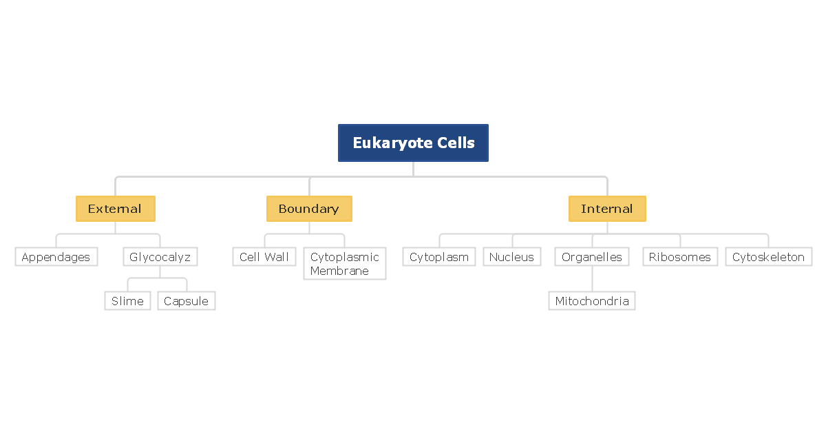 Eukaryotic Cells Concept Map