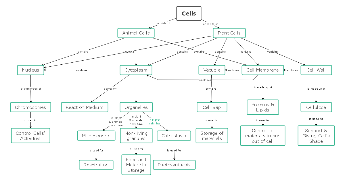 Plant Cells and Animal cells Concept Map (Detailed) Template