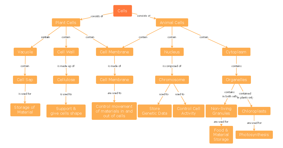 Concept Map Of Cell Structure - Printable Online