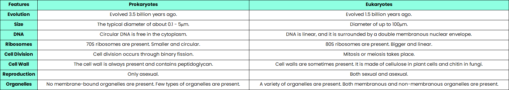 prokaryotic and eukaryotic cell difference