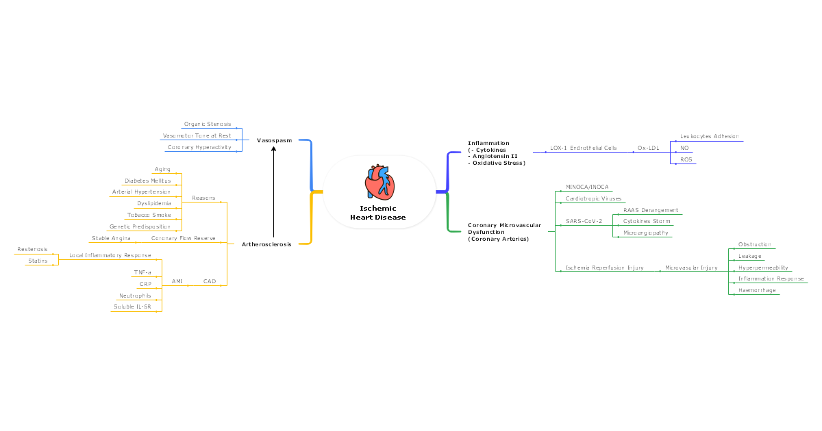Ischemic Heart Disease Concept Map