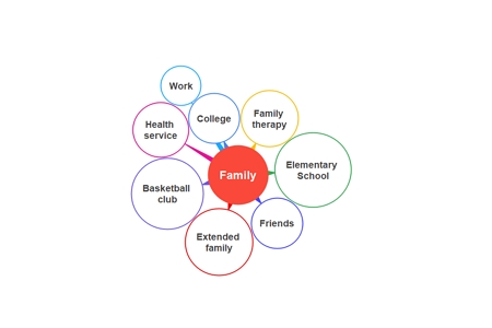 Family Ecomap example