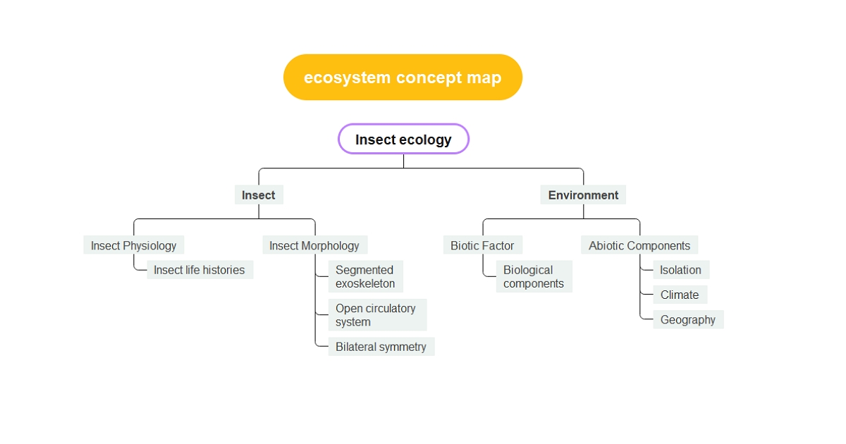 Ecosystem concept map example 1