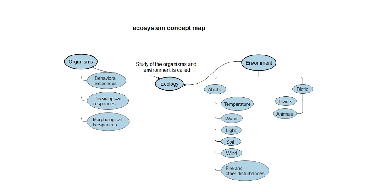 Ecosystem concept map example 2