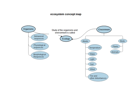 Ecosystem Concept Map Template example 2