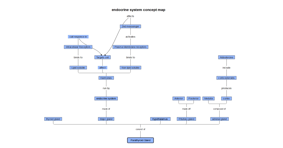 endocrine system concept map example 02