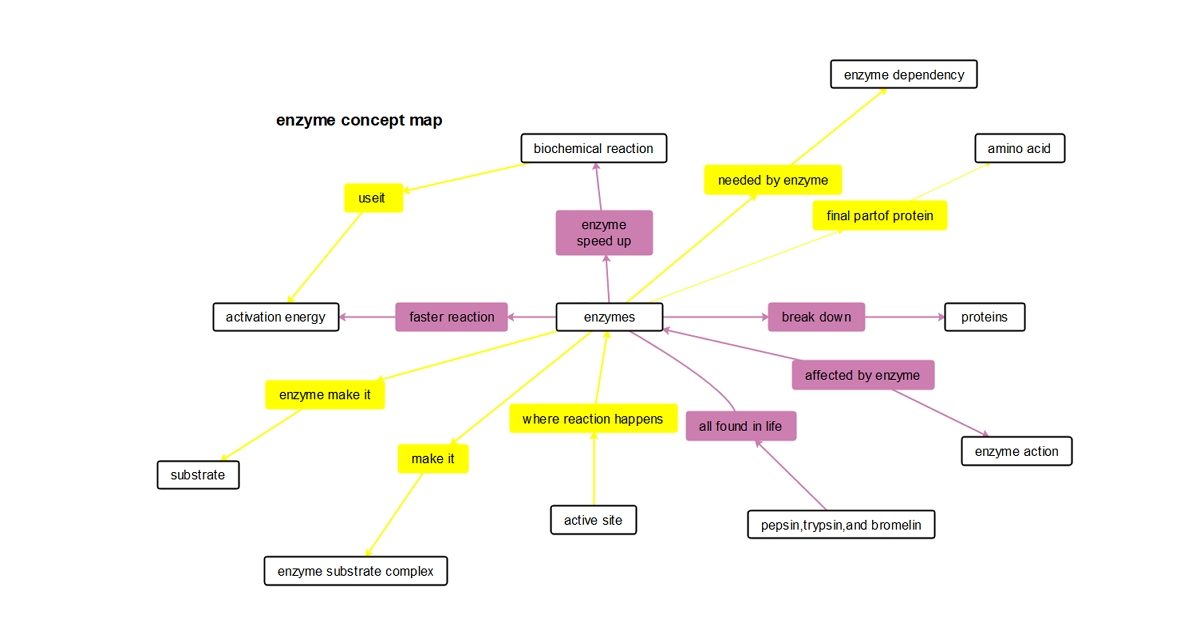 enzyme concept map example 01
