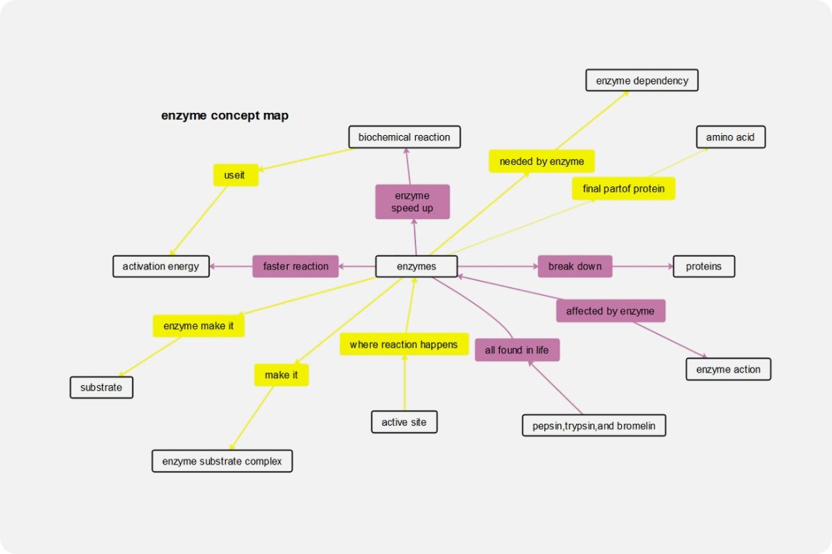 Enzyme Concept Map Template