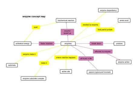 Enzyme Concept Map Template example 01