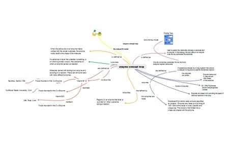 Enzyme Concept Map Template example 02