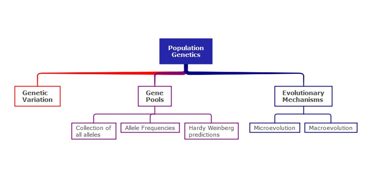 Genetics Concept Map Mastering Biology - United States Map