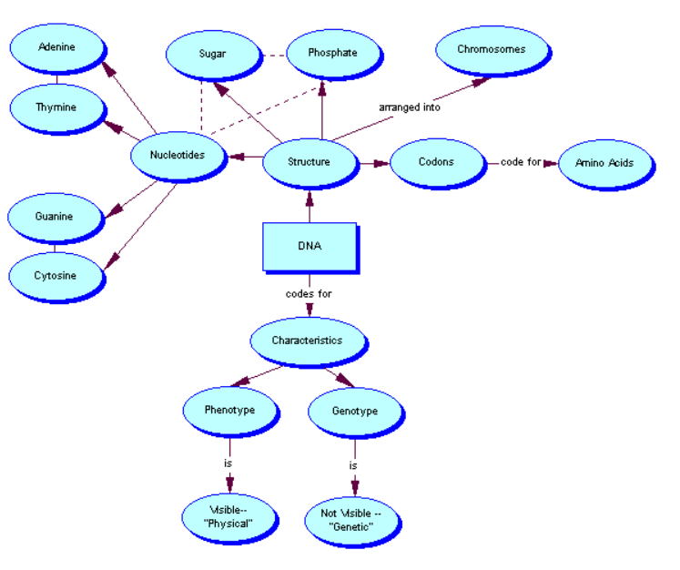 nucleic acid concept map answer key