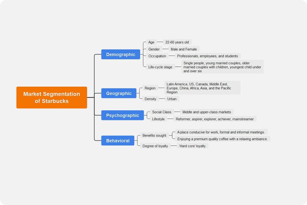 market-segmentation-template-edrawmind