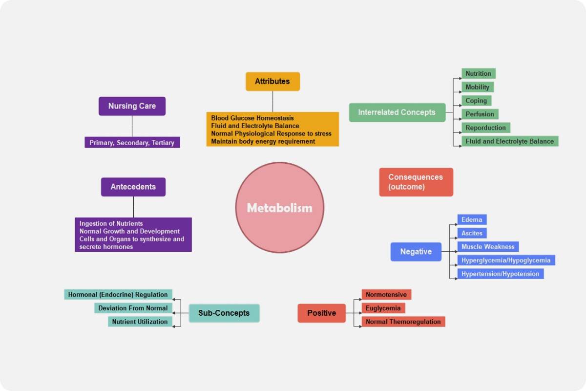 Metabolism Concept Map Template