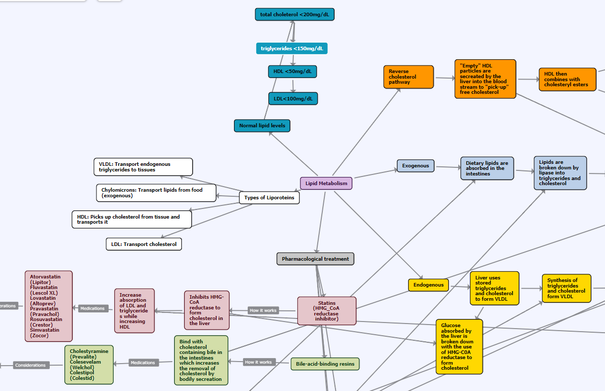metabolism concept map example 02