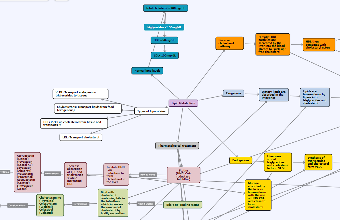 Metabolism Concept Map Example 02 