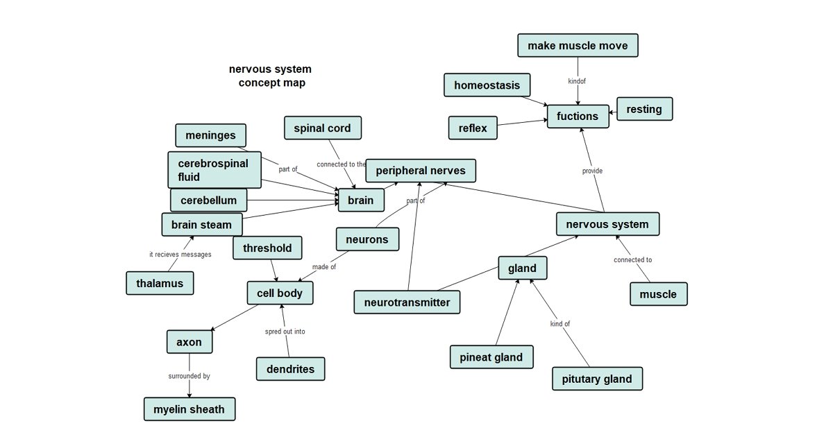 nervous system concept map template example 01