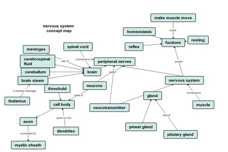nervous system concept map 1